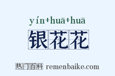 银花花是什么意思的图片
